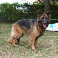 Photo de profil de Aslane