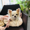 Photo de Lolita