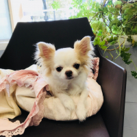 Photo de profil de Lolita
