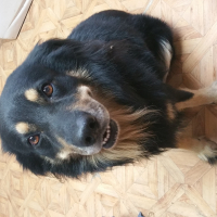 Photo de profil de Stoko dit Choco