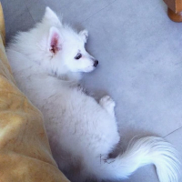 Photo de profil de Ori