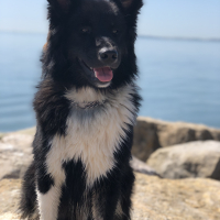 Photo de profil de Nouk