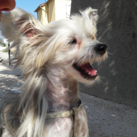 Photo de profil de IOSHI