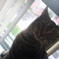 Photo de profil de Kira