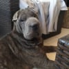 Photo de LEELOO