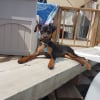 Photo de Kyra