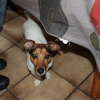 Photo de alto
