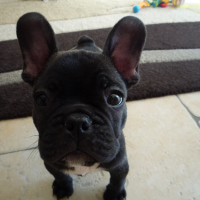 Photo de profil de titi