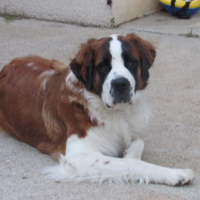 Photo de profil de Bella