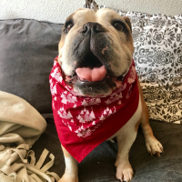Photo de profil de Noisette