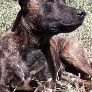 Photo de profil de Elvi