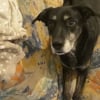 Photo de Nalla