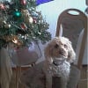 Photo de Bonnie