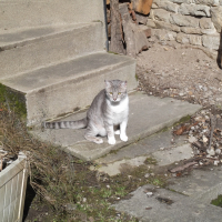 Photo de profil de Neige