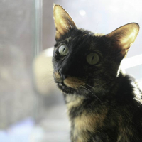 Photo de profil de Madame Boucane (Fournier)