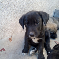 Photo de profil de dora