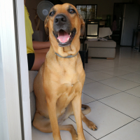 Photo de profil de Kali