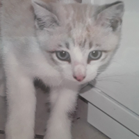 Photo de profil de Cacahuète
