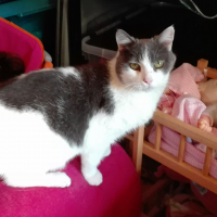 Photo de profil de BEBINETTE