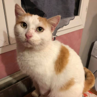 Photo de profil de CACAHUETE