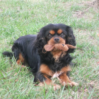 Photo de profil de ioda