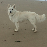 Photo de profil de Lasko