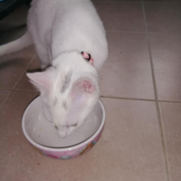 Photo de profil de NEIGE