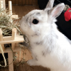 Photo de Bounty