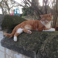 Photo de profil de Geni