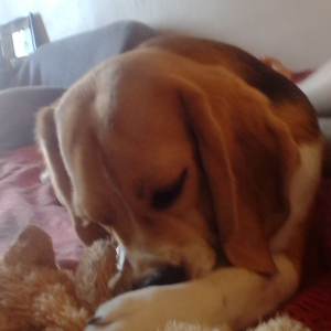 Photo de profil de milane