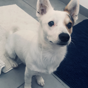 Photo de profil de Owen