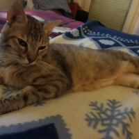 Photo de profil de MAYA 