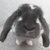 Photo de Doris