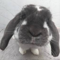 Photo de profil de Doris