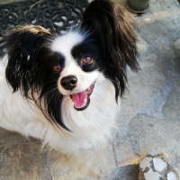 Photo de profil de Ice