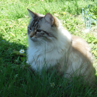 Photo de profil de Neige