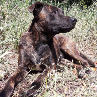 Photo de profil de Elvi