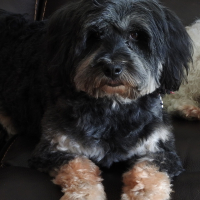 Photo de profil de Gaspard 