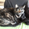 Photo de Flora