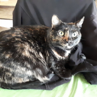 Photo de profil de Flora