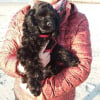 Photo de PRADA