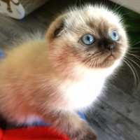 Photo de profil de Rosita
