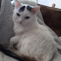 Photo de profil de Gamin