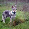 Photo de Lilith