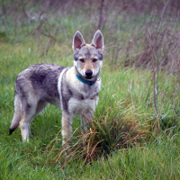 Photo de profil de Lilith