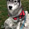 Photo de Ouchka