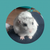 Photo de profil de Pop Corn 