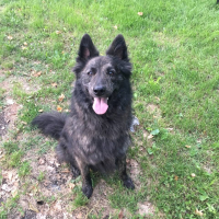 Photo de profil de Liska
