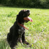 Photo de Charlie