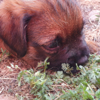 Photo de profil de Romy